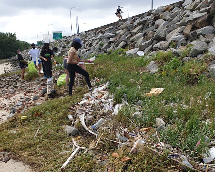 Finding love in a sea of trash: A coastal clean-up for singles brings some love to the Earth