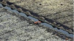 Related article image