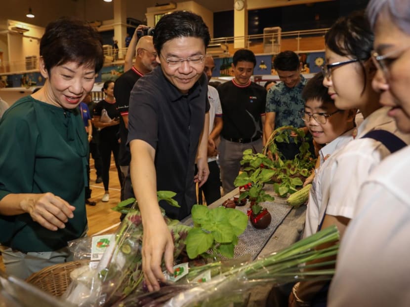DPM Lawrence Wong and Minister for Sustainability and the Environment Grace Fu look at vegetables grown by Punggol Shore Urban Farm at the launch of Go Green SG at Mee Toh School on June 30, 2023. DPM Lawrence Wong and Minister for Sustainability and the Environment Grace Fu look at vegetables grown by Punggol Shore Urban Farm at the launch of Go Green SG at Mee Toh School on June 30, 2023.