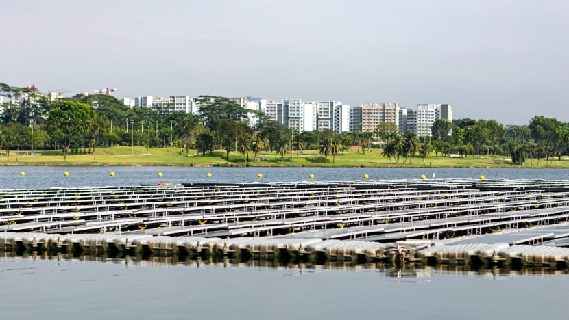 PUB launches S$6.5 million ‘carbon zero’ challenge to remove emissions from water treatment facilities PUB launches S$6.5 million ‘carbon zero’ challenge to remove emissions from water treatment facilities