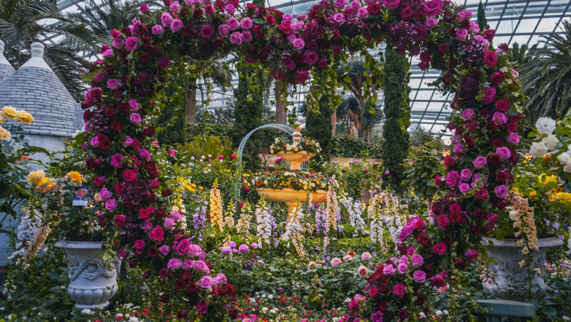 Best Things To Do In Singapore This Weekend (June 9-11)