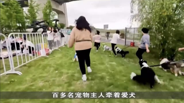 中国办人犬组合荒野挑战赛 近200对主人和爱犬过关斩将