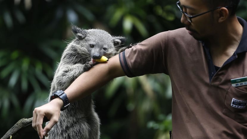#trending: Zookeeper, museum curator? S'pore Reddit post prompts netizens to muse on unlikely career options