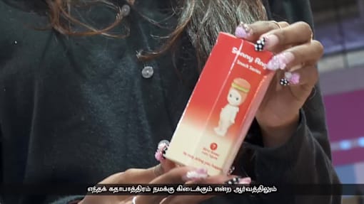 பெரியவர்களிடையே பொம்மை சேகரிக்கும் பொழுதுபோக்கு