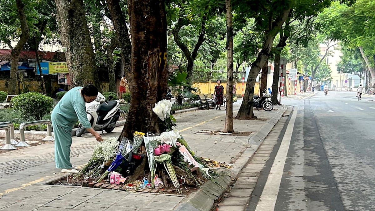 Vietnam exonerates ex-MP for fatal crash after online outrage 