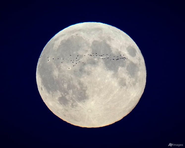 October's supermoon pairs with a comet for a special night-time spectacle