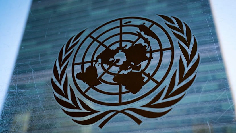 UN on Brink?! US Finally Pays Up - But Will It Be Enough?