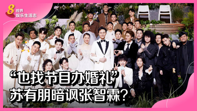 “也找节目办婚礼”　苏有朋暗讽张智霖？