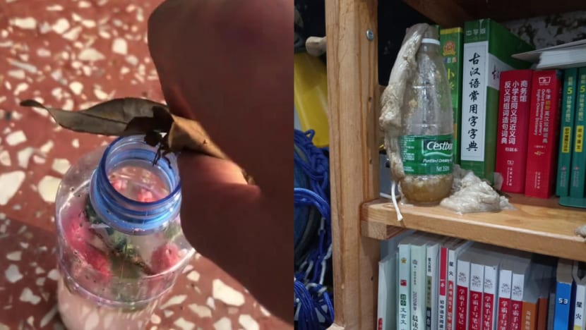 ‘Rearing stinky water’ becomes a fad among students in China despite safety, health risks ‘Rearing stinky water’ becomes a fad among students in China despite safety, health risks