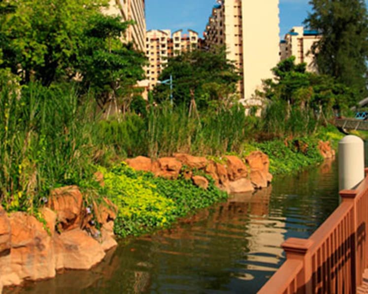 Map tool to help NParks manage green spaces better
