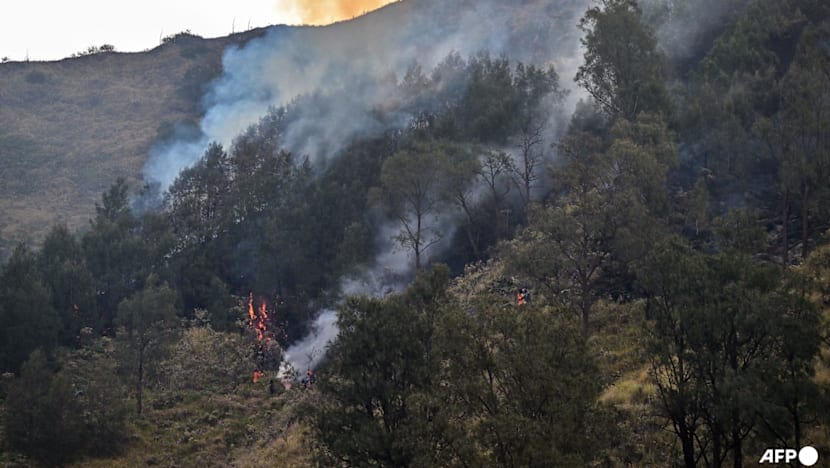 Prabowo orders coordinated measures against Indonesia wildfires