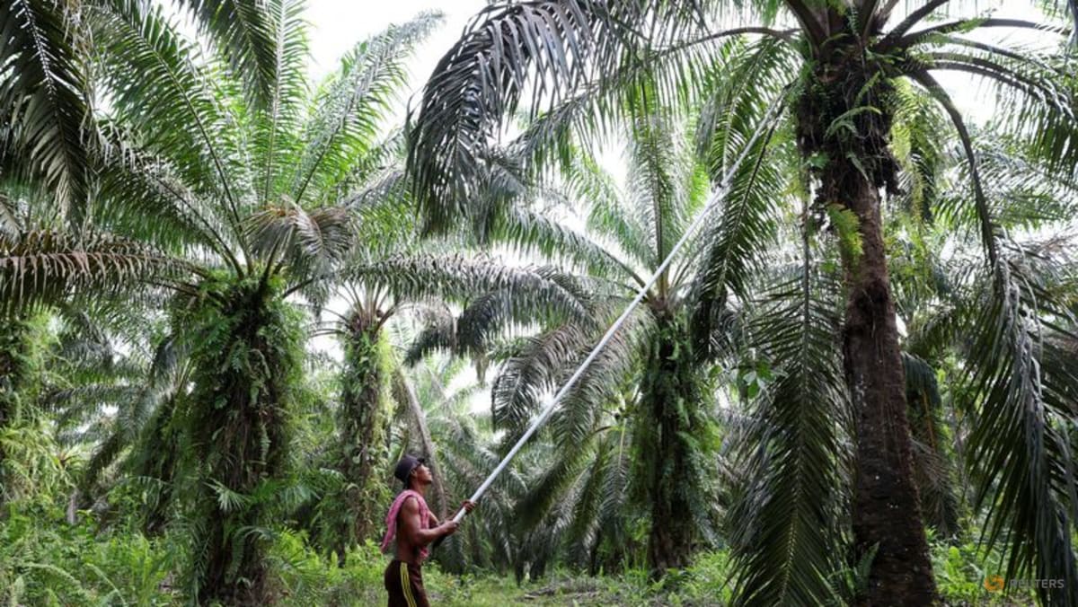 Indonesia issues technical regulations to centralise coal, p