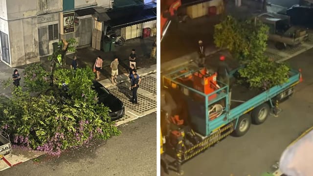 武吉巴督大树倒下压中车辆 