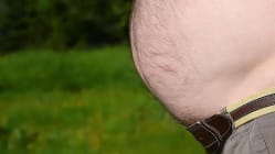 Related article image