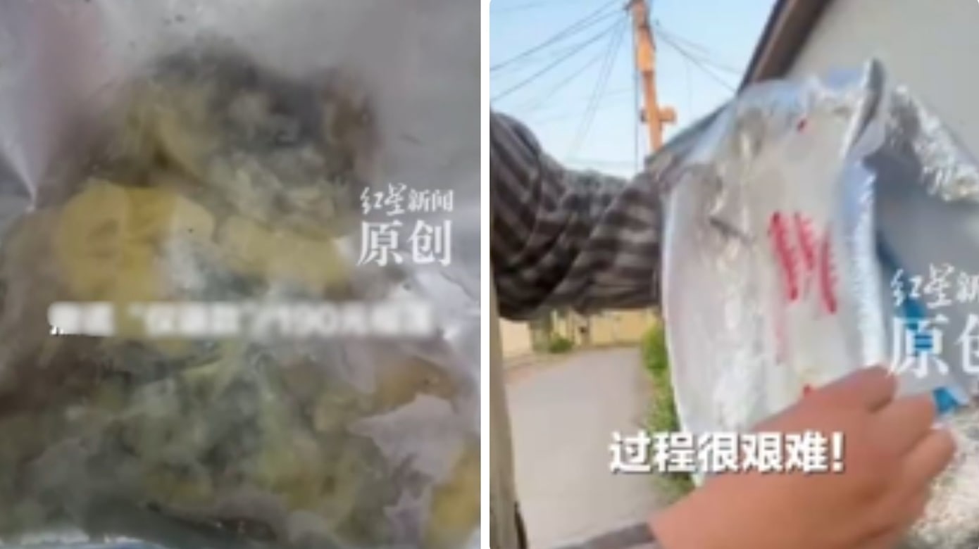 恶客称榴梿发霉要“仅退款” 商家开车数千公里翻垃圾桶搜证
