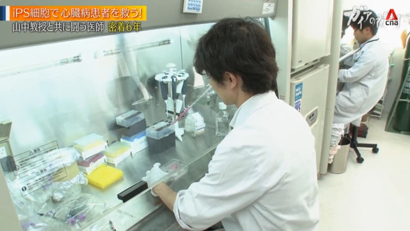Gaia Series 18 : New Treatment Using iPS Cells
