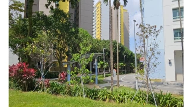 榜鹅市镇会将移除不健康树木 避免危险事故