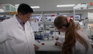 What's Coming Up - Talking Point Finds Out What's Really In Our Honey