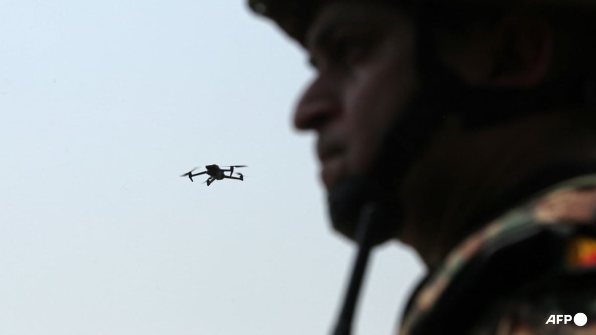 India has told Pakistan to control ‘drone intrusions’, Indian army chief says