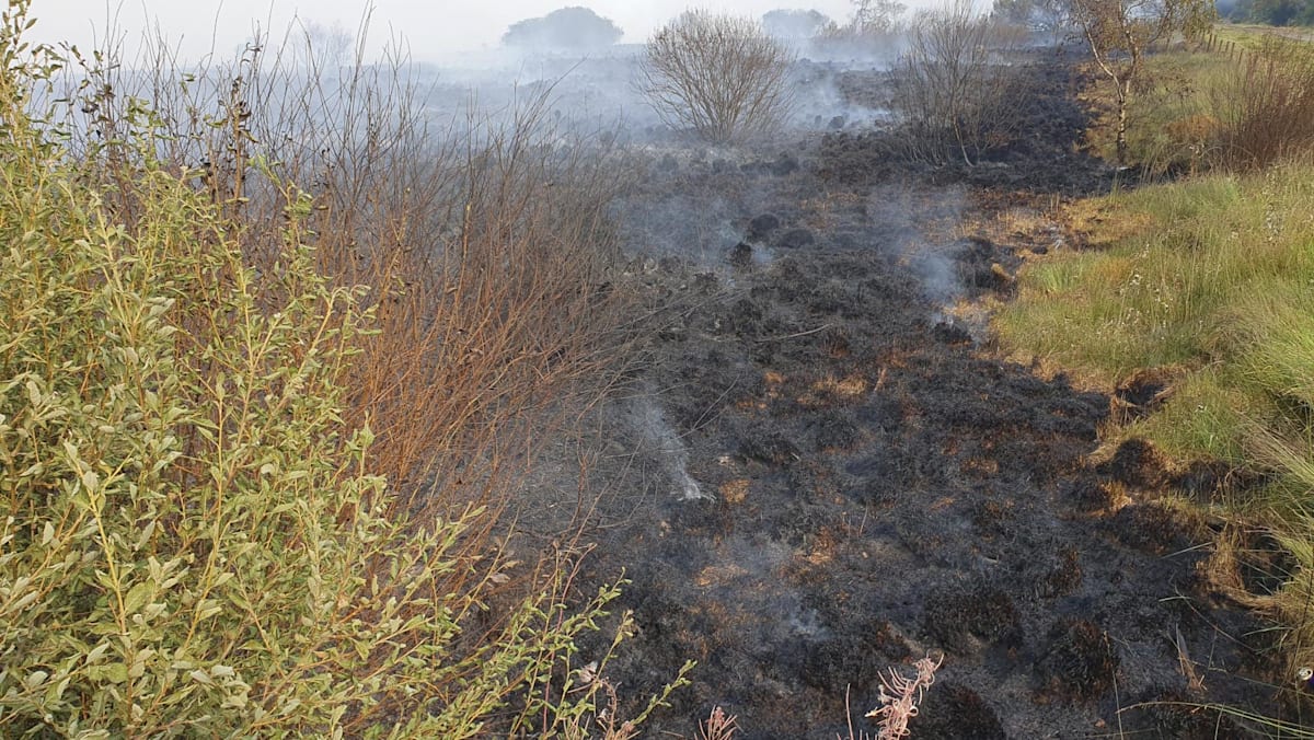 Residents evacuate as Belgium wildfire scorches 1,600 hectares