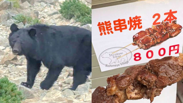 日本青森县熊肉串烧爆红　一串只卖$6.80，味道就像……
