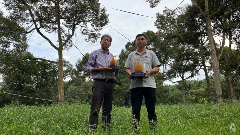 The king of kings: Penang growers top competition with durians from 40-year-old Black Thorn tree 
