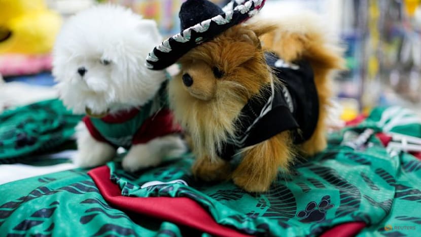 In Mexico, World Cup jerseys fit all shapes, sizes - and species