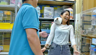 Singapore Hour - Sweet, Salty and Slightly Strange Singapore Hour - Sweet, Salty and Slightly Strange