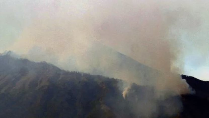 Pendakian Gunung Arjuno di Jawa Timur dihentikan akibat kebakaran hutan sejak Sabtu Pendakian Gunung Arjuno di Jawa Timur dihentikan akibat kebakaran hutan sejak Sabtu