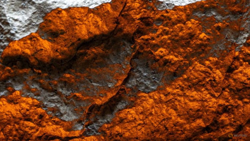 Martian meteorite sells for record $5.3 million at Sotheby's