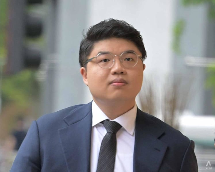 Story idea, article elements, wording 'designed to stick the knife’ into Shanmugam, Tan See Leng: Lawyer