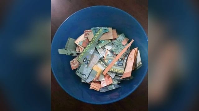 马国孙儿玩“家家酒”剪碎现金 网民：应保管好钞票