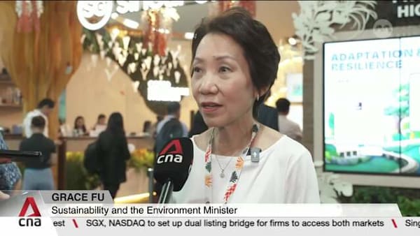 Singapore raises concern about slow progress on climate adaptation guidance