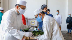 Related article image