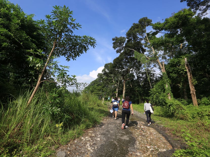 Media seen at site tour of the new proposed site for the future Bird Park at Mandai, taken on July 26, 2016. Photo: Koh Mui Fong/TODAY