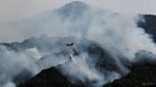 Global fire outbreaks hit record high as 'unprecedented' heat extremes loom, scientists say