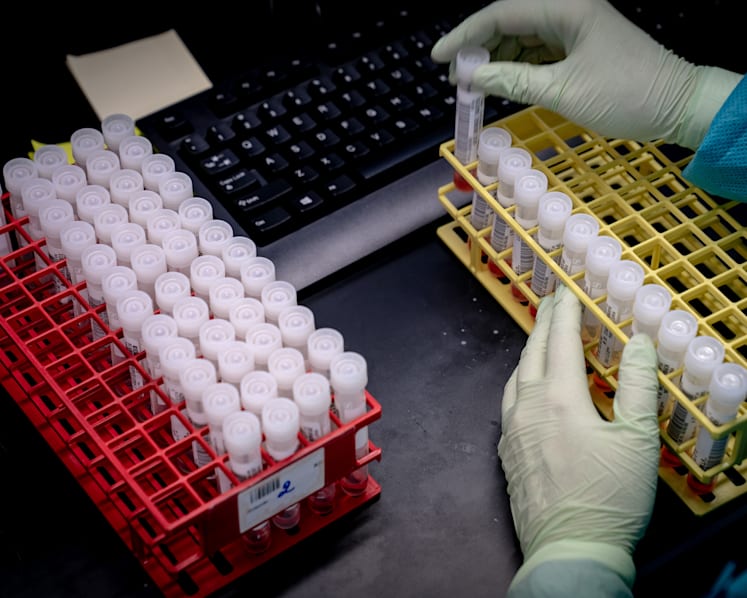 Here’s how scientists know the coronavirus came from bats and wasn’t made in a lab