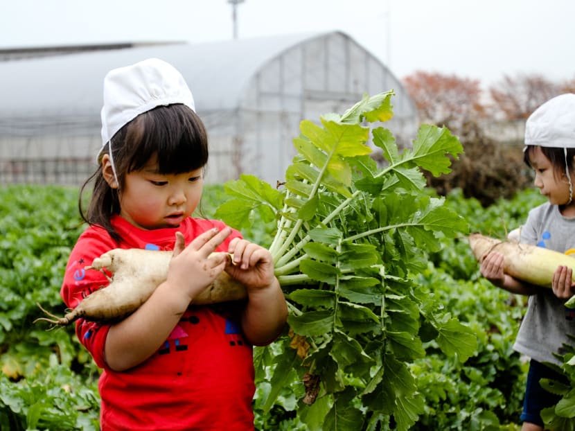 In Japan’s pre-schools, children must play