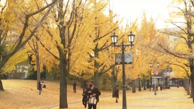 中日外交紧张未解 分析：日本旅业多元客源与国内旅游强劲减少冲击