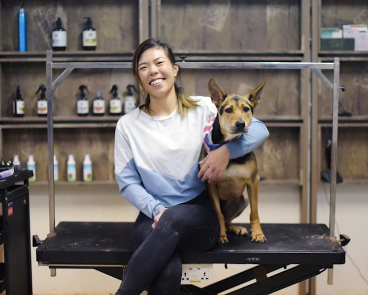 No discrimination against Singapore Specials – this dog groomer understands them well