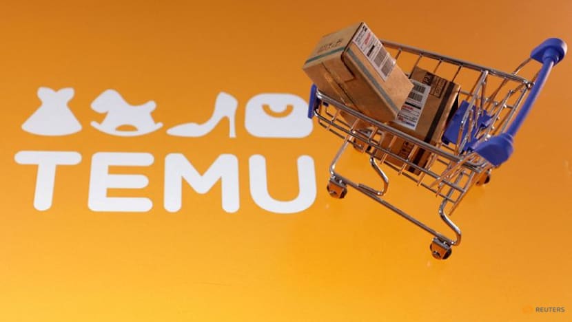 Turkey's Horoz in delivery deal with Chinese online market Temu