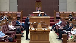 Related article image