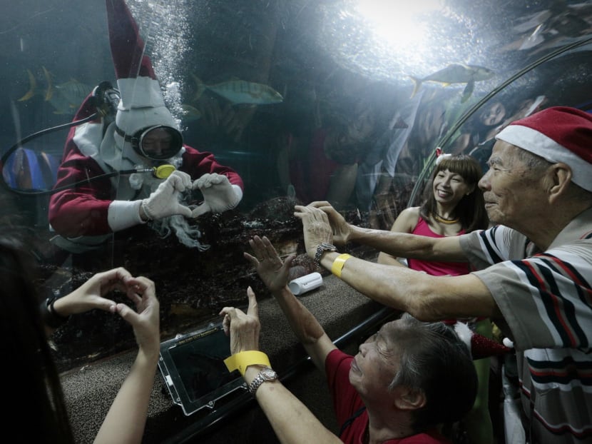 Underwater World closure plan draws flak from animal lovers