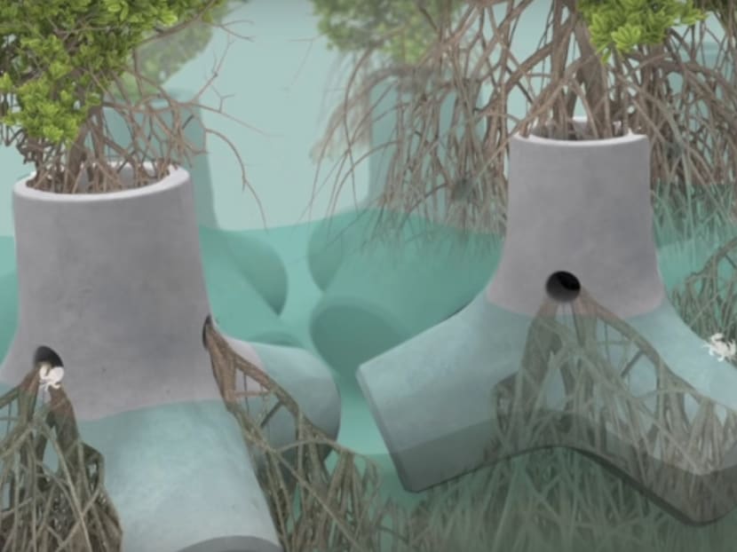 Designers say a series of large concrete plant plots could be placed along an endangered section of a coastline. Mangrove trees are grown in the pots, and these mangroves eventually bind together, forming a coastal defence. Designers say a series of large concrete plant plots could be placed along an endangered section of a coastline. Mangrove trees are grown in the pots, and these mangroves eventually bind together, forming a coastal defence.