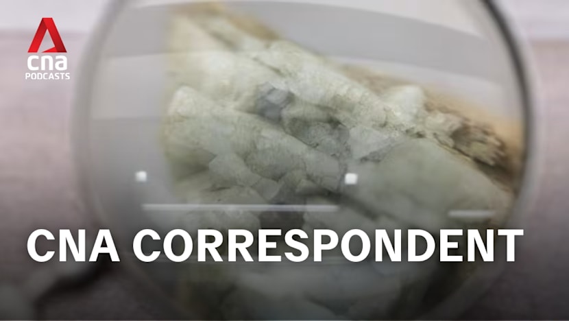 CNA Correspondent - How the US handed control of rare earth minerals to China 