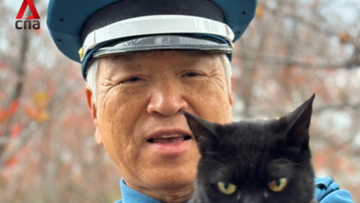 Ken-chan, famous cat who always tried to enter museum in Japan, dies - CNA