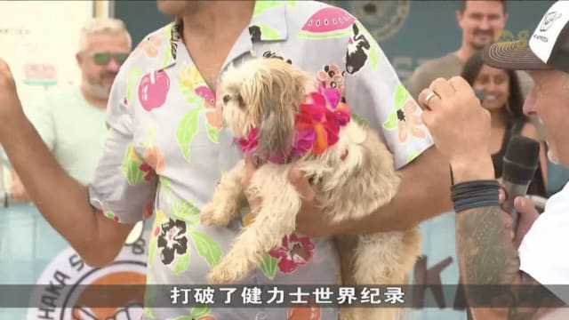 同主人乘风破浪 狗狗和主人打破健力士世界纪录