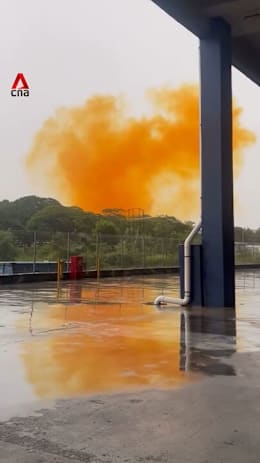 Orange cloud over Pasir Gudang factory after chemical leak