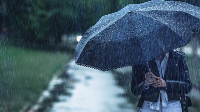 环境局：本地接下来两周将迎来多雨天气 