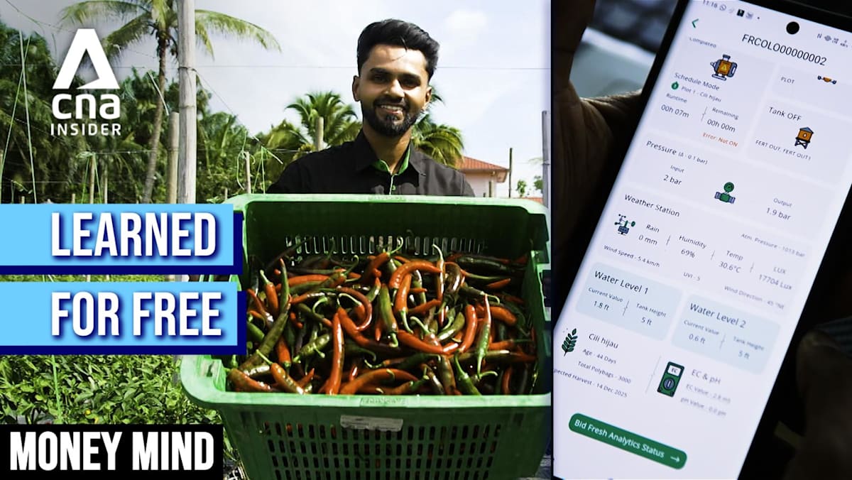 Money Mind 2026 - From Coding to Chillies - CNA
